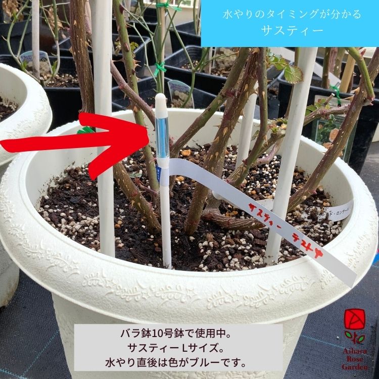 植物水分計サスティー（Sustee）Lサイズ・緑 5